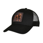 Cayler & Sons - Ghetto Beast - Trucker/Snapback - Black